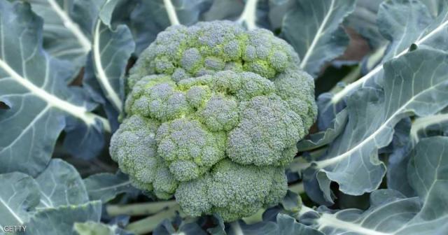 10 أطعمة سحرية تبعد النوبات القلبية وتصلب الشرايين