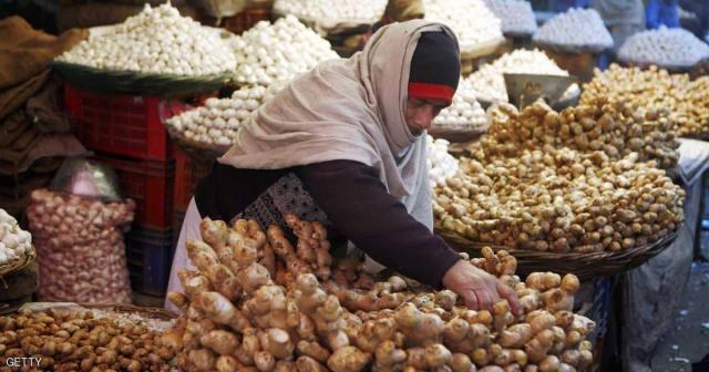 15 فائدة طبية للنبتة السحرية