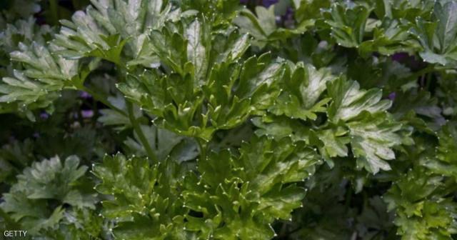 أطعمة سحرية تحميك من هشاشة العظام