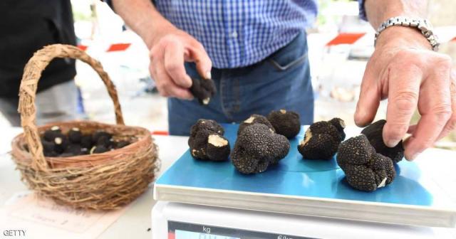 7 منشطات طبيعية تعزز الرغبة الجنسية.. وتبعد الإجهاد