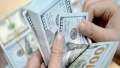 سعر الدولار اليوم