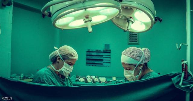 تجربة مثيرة للجدل .. علماء يطورون أعضاء بشرية في الحيوانات