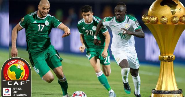 نهائي أمم أفريقيا.. كيف يصطاد محاربو الجزائر أسود التيرانغا؟