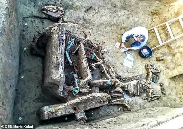 بقايا عربة دفنت بخيولها