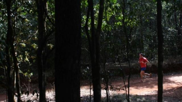 غابة كريرا الكينية