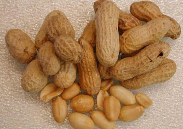 تعرف على فوائد الفول السوداني المسلوق وطريقة إعداده