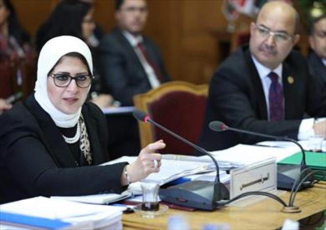 زايد: مصر أخذت على عاتقها تنفيذ مبادرات الصحة العامة
