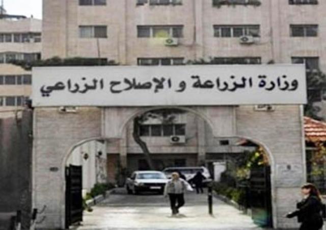 «الزراعة» تعلن أسعار تقاوي محاصيل الموسم الصيفي دون زيادة عن العام الماضي