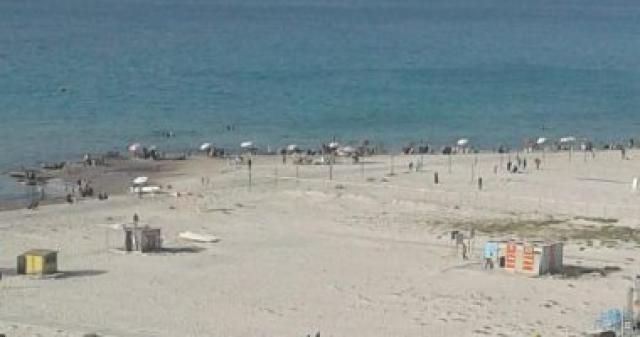 شاطئ النخيل - أرشيفية