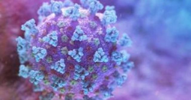 فيروس كورونا