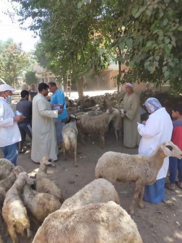 قوافل وزارة الزراعة