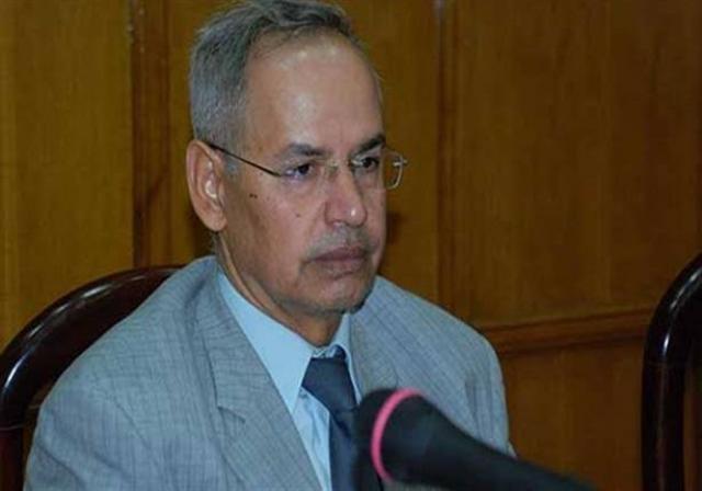 د محمد الشحات الجندى