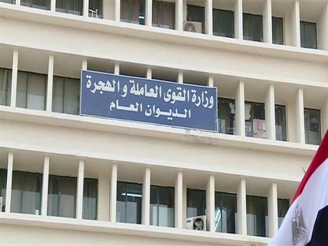تعيين 6401 شاب ..وصرف 3 ملايين للعمالة غير المنتظمة المسجلة بالشرقية
