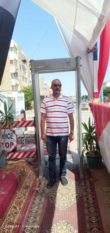 الدكتور محمودالفولى خلال تفقده اللجان