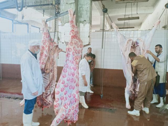 الزراعة”: ضبط أكثر من 198 طن لحوم ودواجن واسماك غير صالحة للاستهلاك الآدمي وذبح خارج المجازر