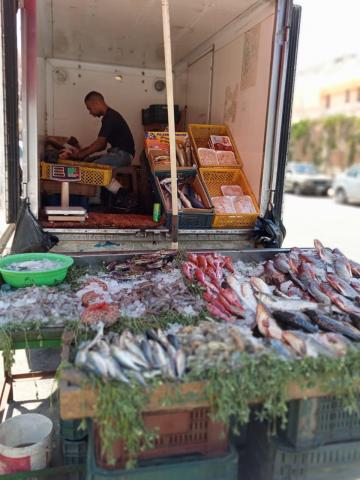 الزراعة :10 نصائح وإرشادات لمزارعى الأسماك لتخفيف اثار الحرارة المرتفعة التي تشهدها مصر