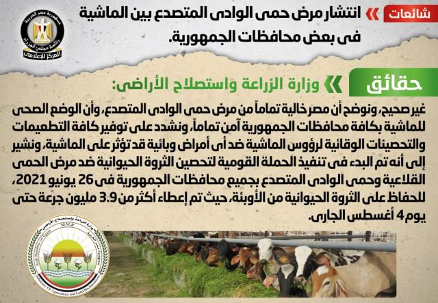 الحكومة:تنفى انتشارالحمى القلاعية