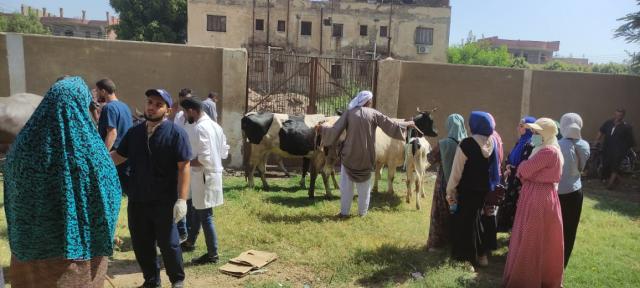خلال الكشف على المواشى