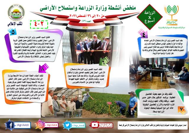 الانفوجراف