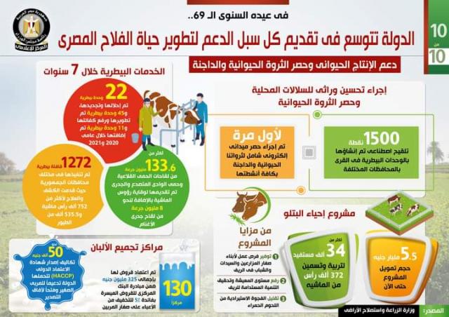 الانفو جراف