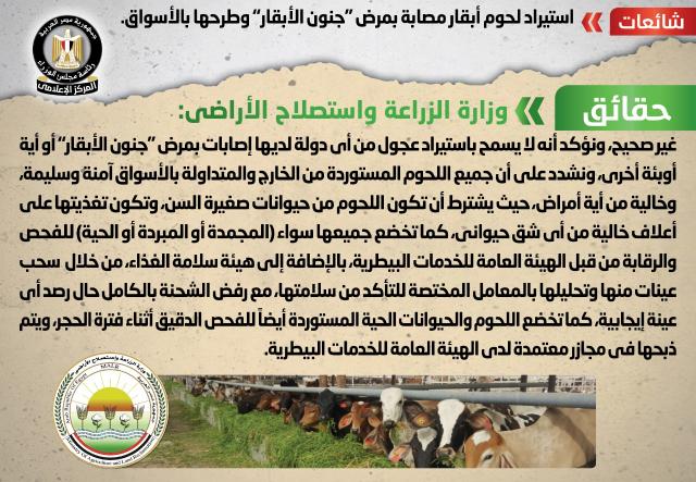 الانفوجراف