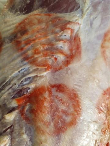 جزء من المضبوطات