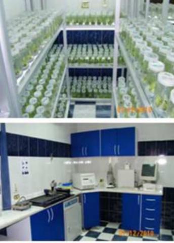 الزراعة” : اجتياز معمل سمارت لاب لتشخيص الامراض النباتية التجديد السنوي من (إيجاك)