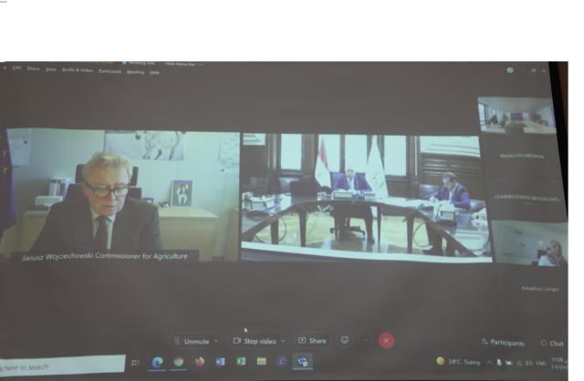 خلال الاجتماع بالفيديو كونفرانس