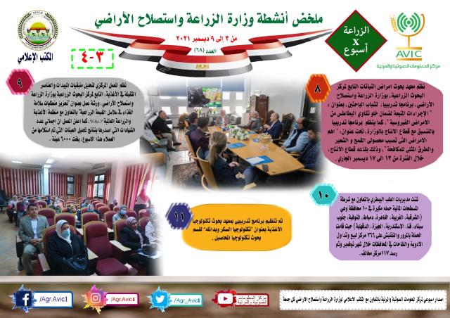 الانفوجراف