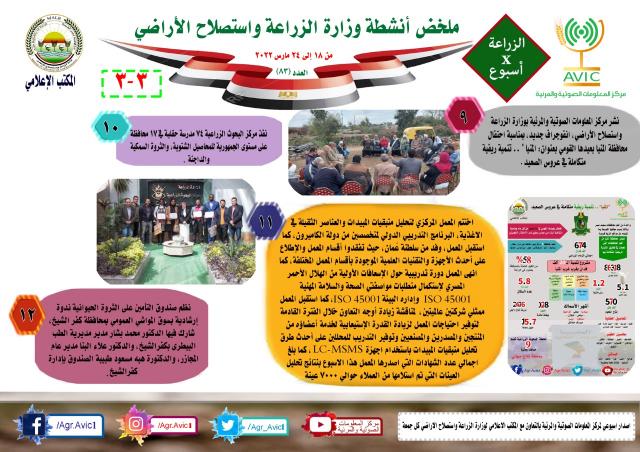 الانفوجراف