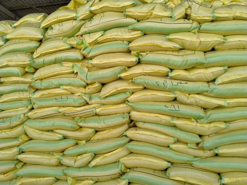 الزراعة تعلن بدء توزيع تقاوى القمح والفول   قبل شهرين من موسم الزراعة الشتوية