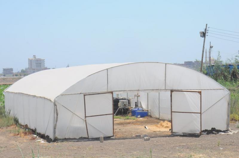 رئيس جامعة كفر الشيخ يتفقد المشاريع البحثية بكلية الزراعة