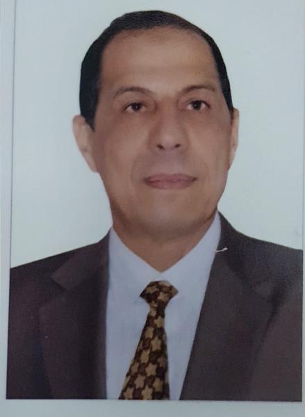 مهندس صلاح فتحى