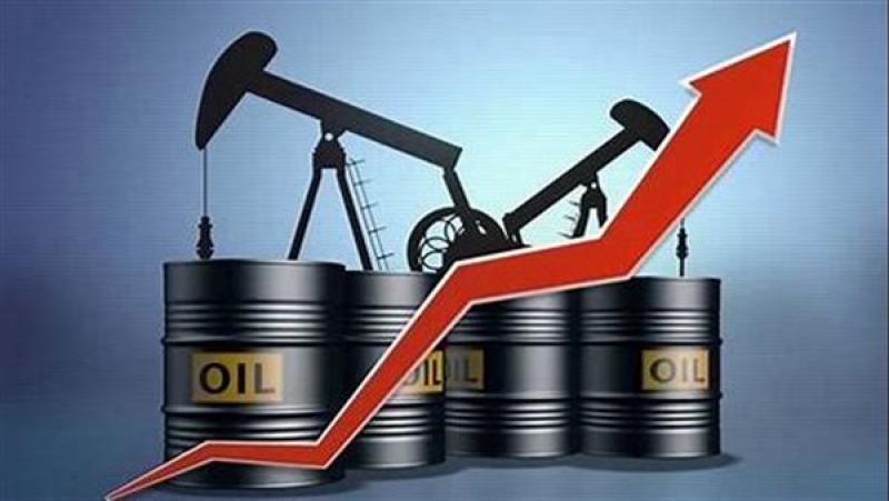 خبير: الدولة تواجه ارتفاعات أسعار البترول عالميا دون تأثر المواطن