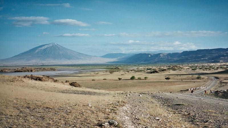 كارثة عالمية.. والعلماء يدقون ناقوس الخطر