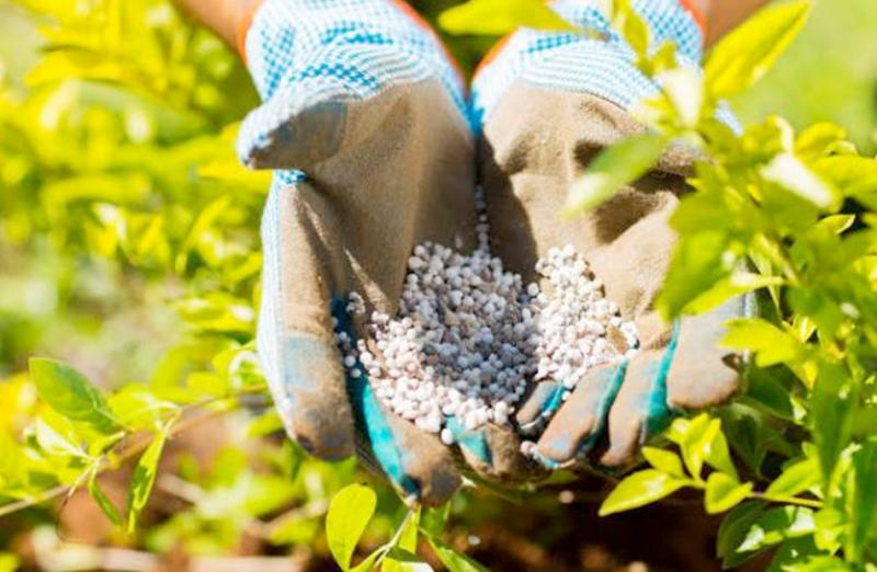 أسعار الأسمدة بالأسواق اليوم الأربعاء 5 فبراير