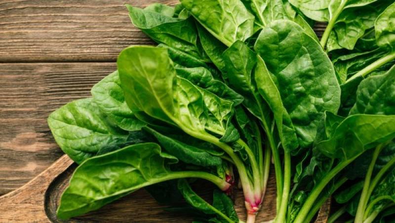 احذر.. تخزين السبانخ يصيبك بمخاطر صحية