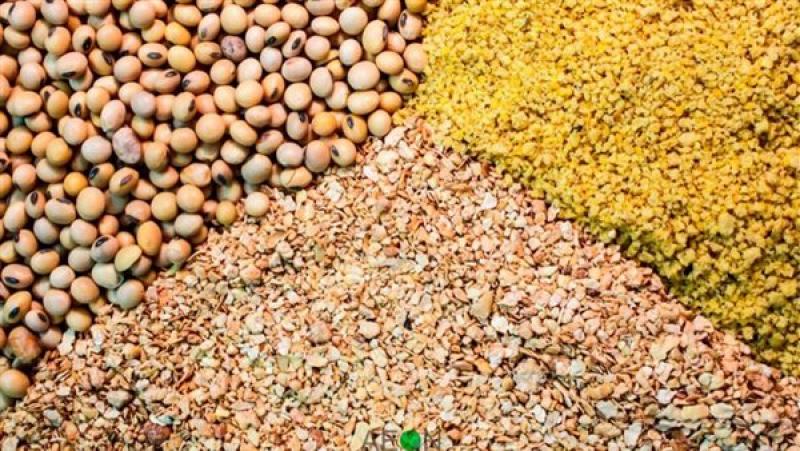 أسعار الأعلاف اليوم الأربعاء 12 فبراير في الأسواق المحلية