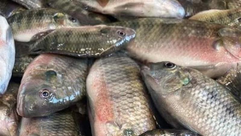 أسعار الأسماك والمأكولات البحرية في سوهاج اليوم السبت