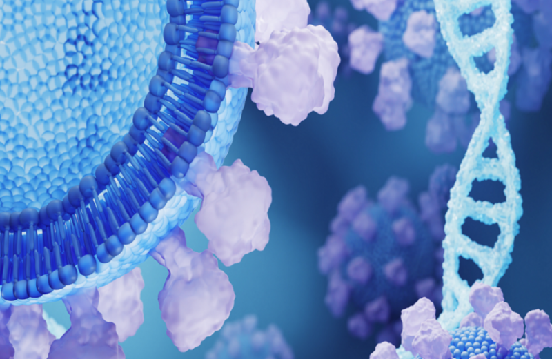 تحديد طفرة جينية تزيد من خطر السمنة