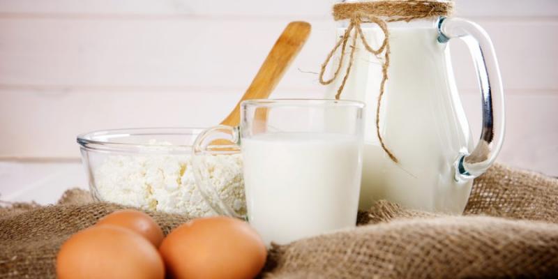 أسعار البيض والألبان والأجبان في الأسواق اليوم الثلاثاء