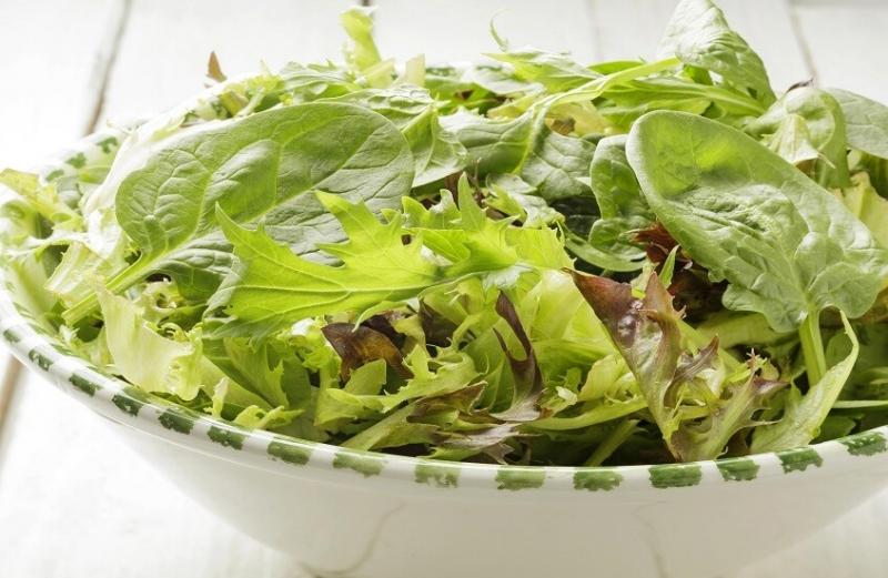 الخضار الورقية الأكثر فائدة لكبار السن