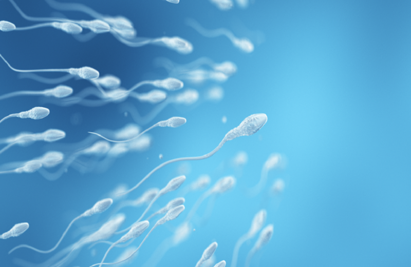 دراسة تحذر من مادة غذائية شائعة قد تضعف خصوبة الرجال