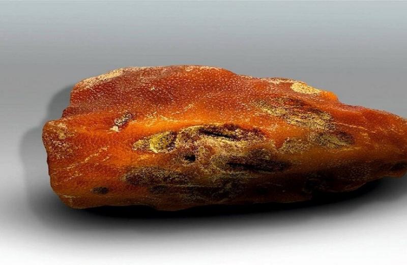 روسيا.. العثور على قطعة كهرمان كبيرة