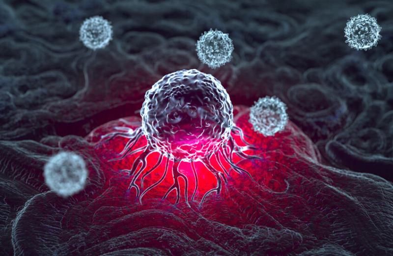 اكتشاف مفتاح للوقاية من الالتهابات القابلة للتحول إلى سرطان