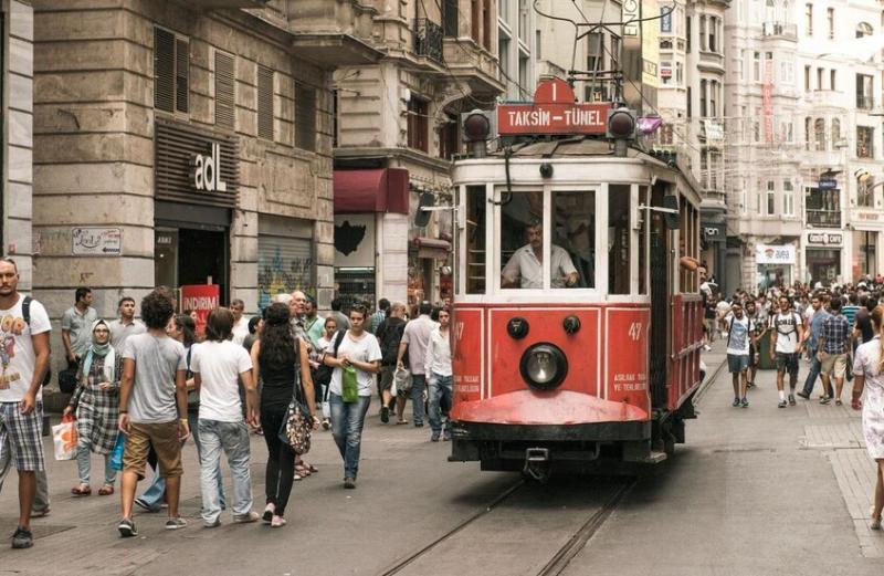 حشرة خطيرة تغزو إسطنبول.. أرقام مفزعة وتهديد صحي داهم